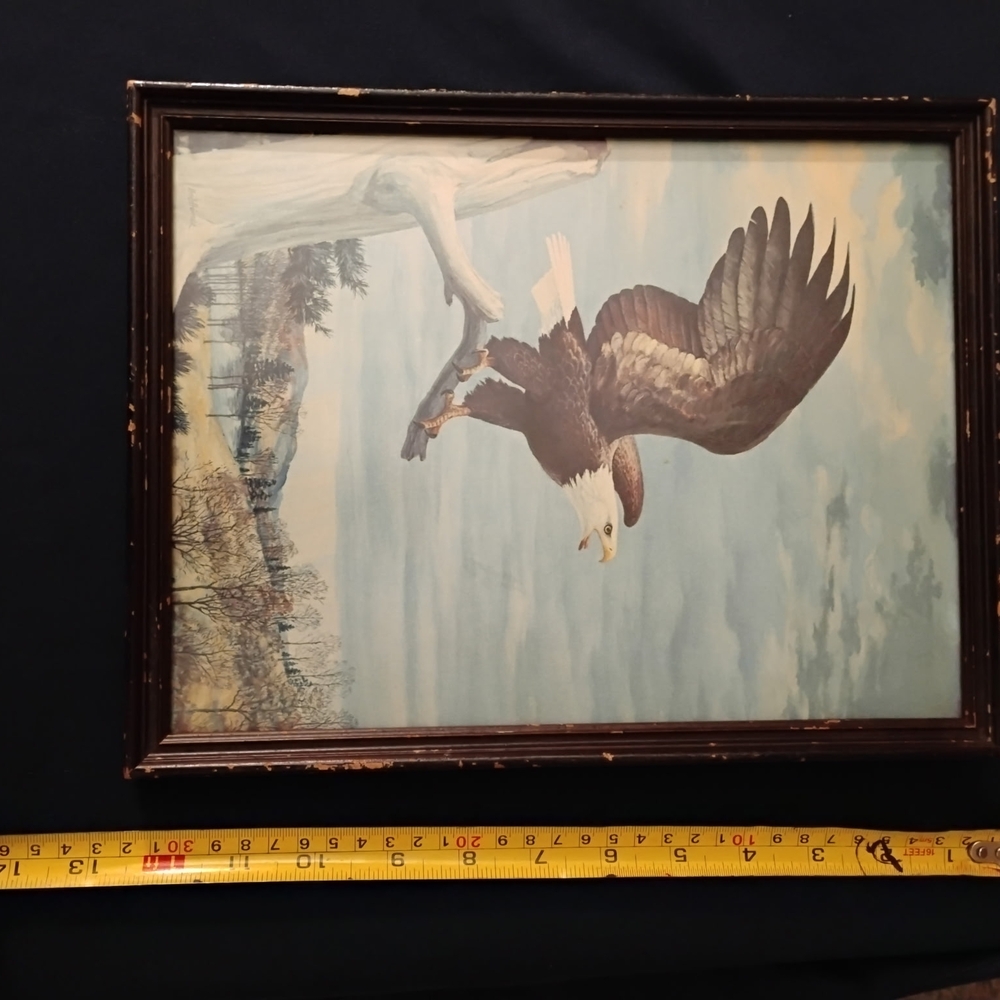 Vintage Bald Eagle Print - Picture 3 of 5